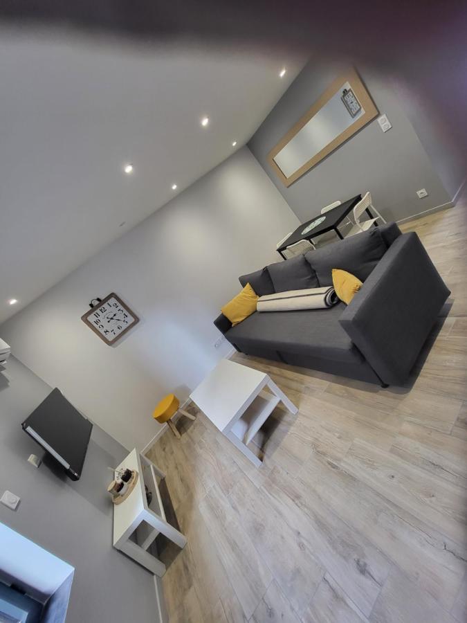 Appartement Entierement Renove A Neuf 101 Saint-Etienne  Ngoại thất bức ảnh