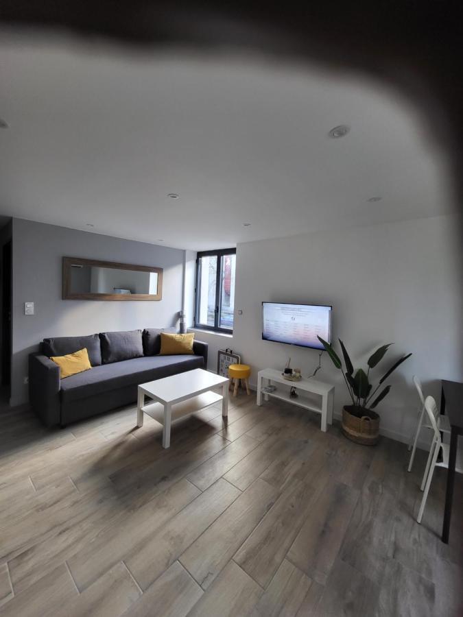 Appartement Entierement Renove A Neuf 101 Saint-Etienne  Ngoại thất bức ảnh